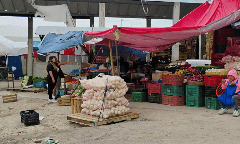 Comerciantes tamaulipecos registran bajas ventas