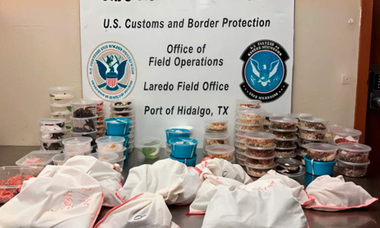 Frontera Reynosa -Texas: Decomisan animales exóticos